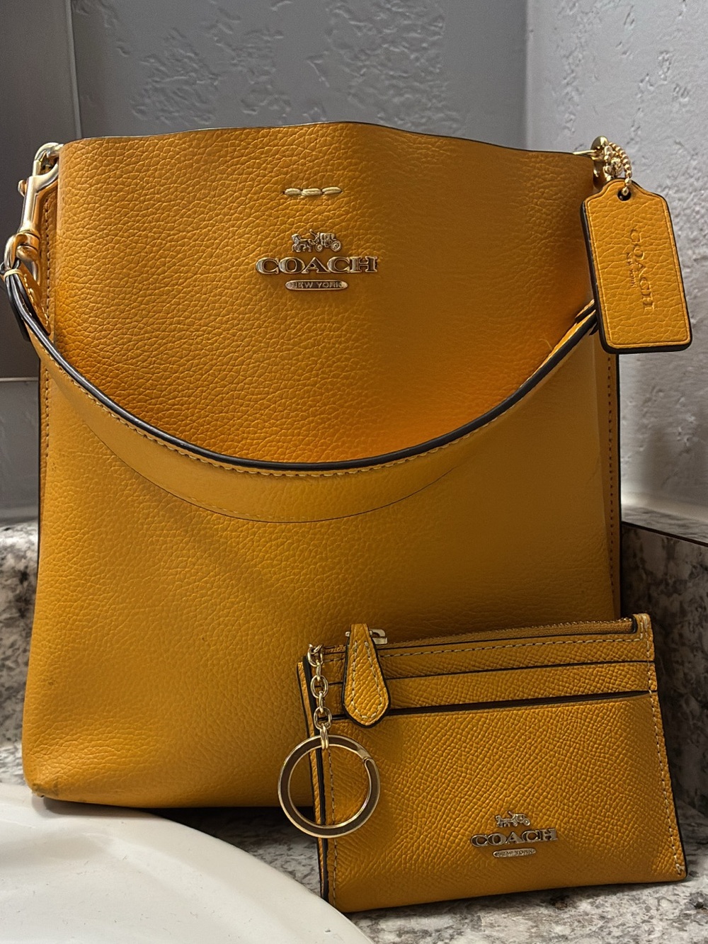 Coach Mollie bucket Bag 22 with Matching Card Case in Mustard Yellow